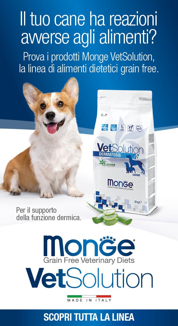 Cane